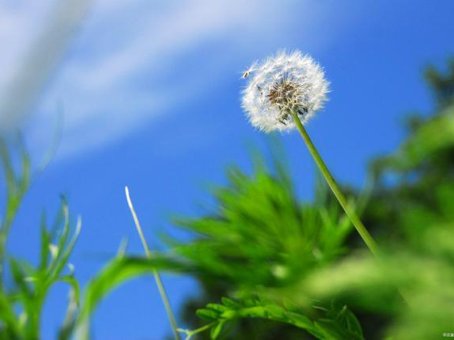 有啥别有病,没啥别没钱的说说