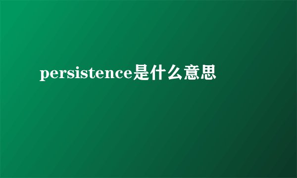 persistence是什么意思