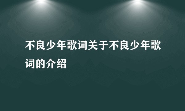 不良少年歌词关于不良少年歌词的介绍