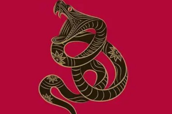 笑谈人生的动物打一生肖