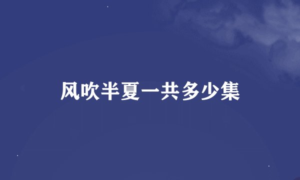 风吹半夏一共多少集