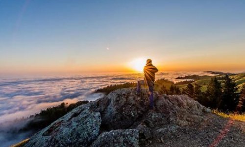 “既定的命运”是什么意思？