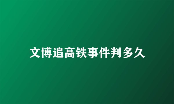 文博追高铁事件判多久