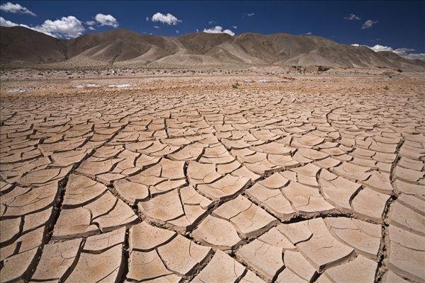 专家预测极端高温还将卷土重来，气候危机纪元真的来了？