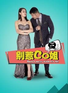 别惹co姐一共多少集?
