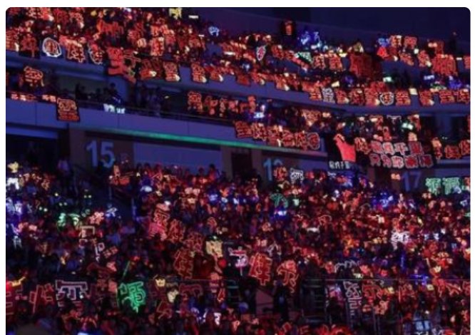 饭圈文化为什么恶心？