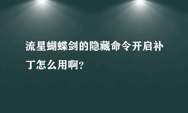 流星蝴蝶剑的隐藏命令开启补丁怎么用啊？