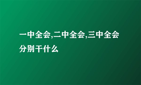 一中全会,二中全会,三中全会分别干什么