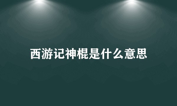 西游记神棍是什么意思