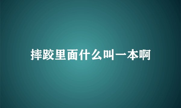 摔跤里面什么叫一本啊