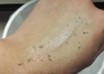 相宜本草去角质膏使用过程