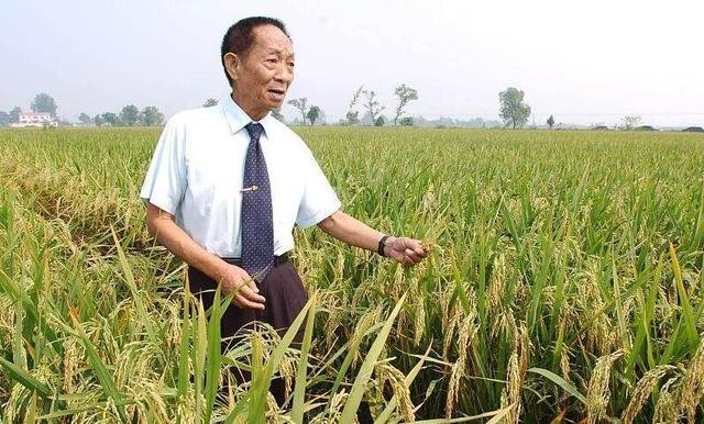 电影《袁隆平》收视创新高，哪位演员出演了剧中的袁隆平？