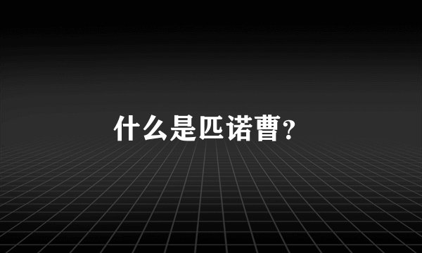 什么是匹诺曹？