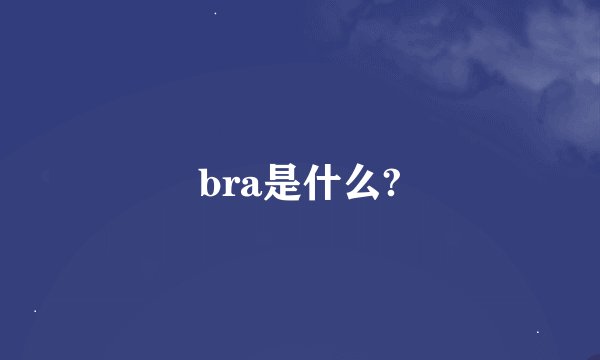 bra是什么?