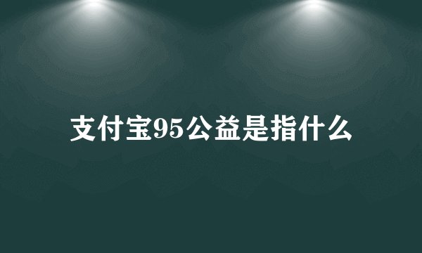 支付宝95公益是指什么