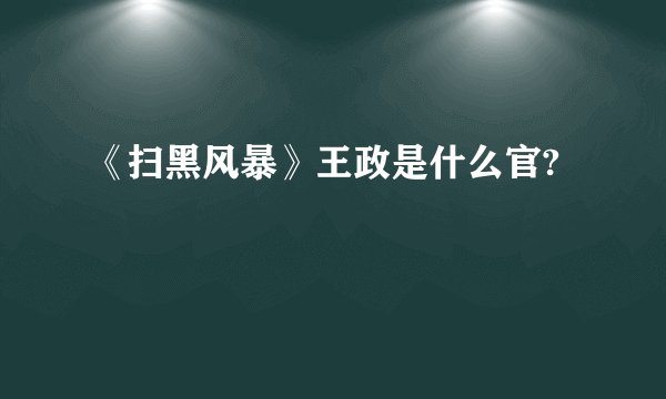 《扫黑风暴》王政是什么官?