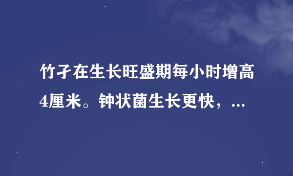 竹孑在生长旺盛期每小时增高4厘米。钟状菌生长更快，生长旺盛期每小时太约增高25厘米。如果它们都在生长
