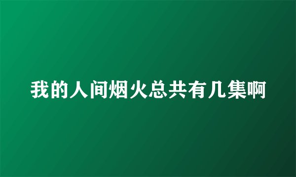 我的人间烟火总共有几集啊