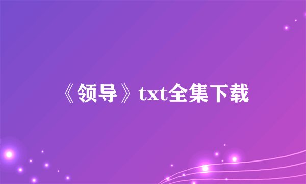 《领导》txt全集下载