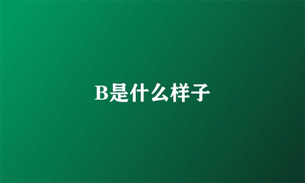 B是什么样子