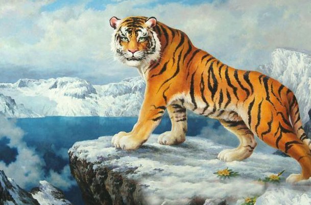 心口如一打一生肖是什么