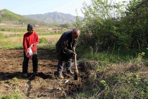 儿子突然回家发现父母都病了，人在他乡该怎么尽孝心？