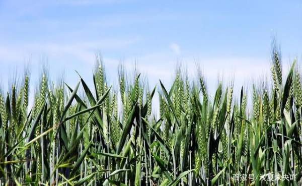 二0二一年什么时候打春