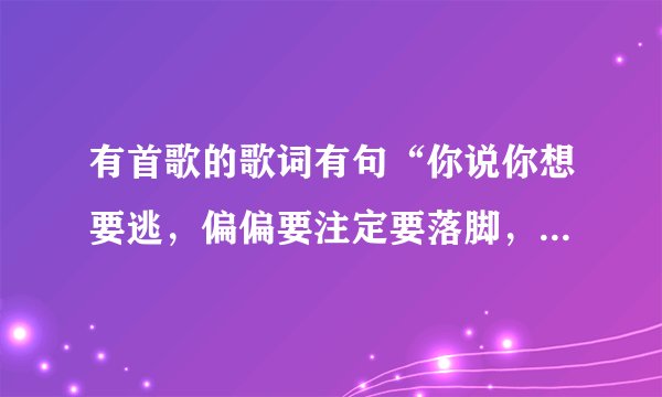 有首歌的歌词有句“你说你想要逃，偏偏要注定要落脚，情灭了”是什么歌，谢谢大家告诉我吧