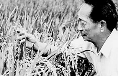 电影《袁隆平》收视创新高，哪位演员出演了剧中的袁隆平？