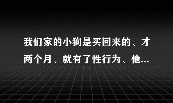 我们家的小狗是买回来的、才两个月、就有了性行为、他会爬在我的胳膊上抽搐、这是什么原因啊？怎么纠正？