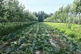 今天车管所可以办理业务吗