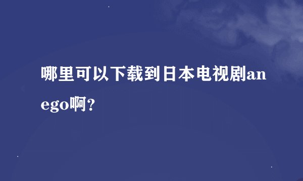 哪里可以下载到日本电视剧anego啊？