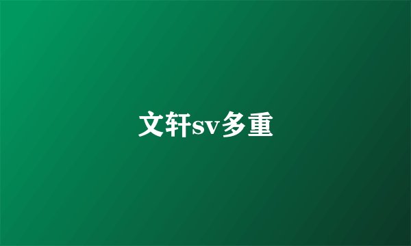 文轩sv多重