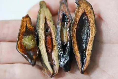 市面上槟榔“口香糖”兴起，这是槟榔的又一条出路吗？