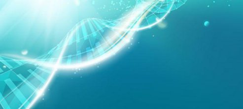 动物dna与人类dna有什么区别?