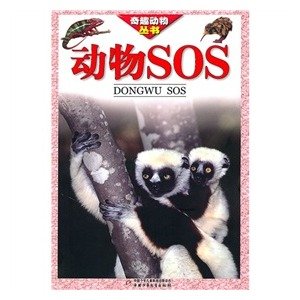 北瓶鼻鲸的物种分类