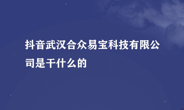 抖音武汉合众易宝科技有限公司是干什么的