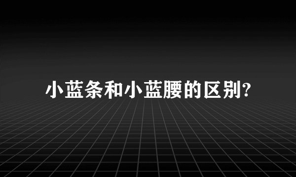 小蓝条和小蓝腰的区别?