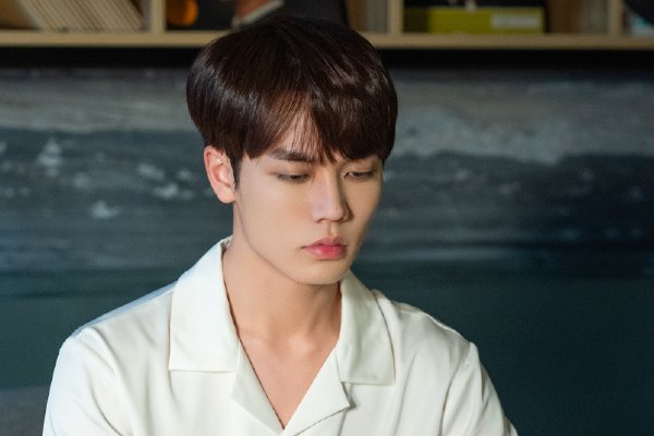 生活片爱情电视剧推荐