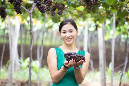 蔬菜水果干能代替水果吗