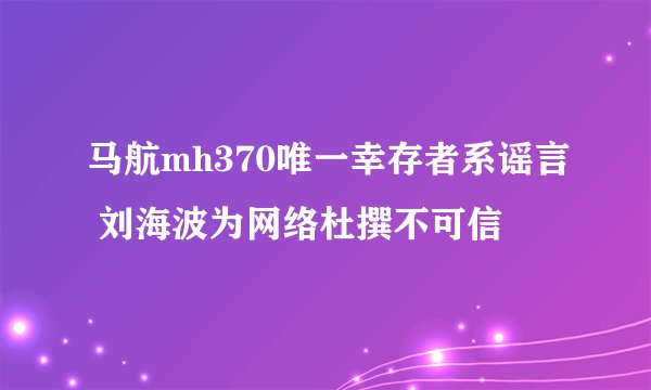 马航mh370唯一幸存者系谣言 刘海波为网络杜撰不可信
