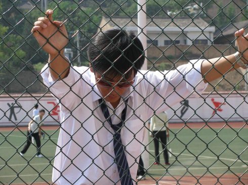 咱村的苹果红了的演员阵容