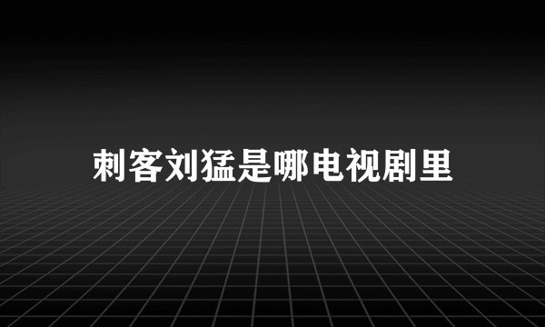 刺客刘猛是哪电视剧里