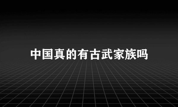 中国真的有古武家族吗