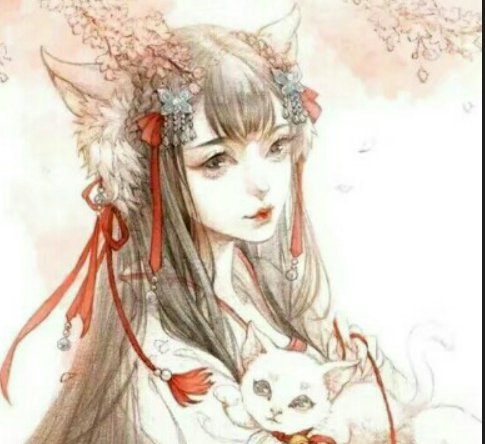 叶长歌是哪本小说里的人物