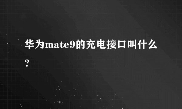 华为mate9的充电接口叫什么？