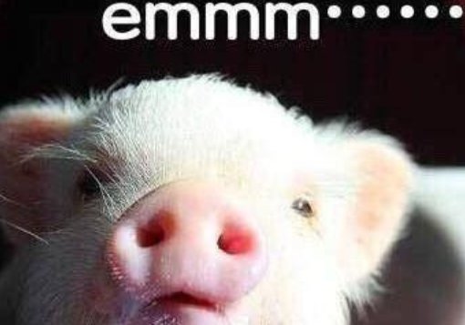 emmm是什么意思?