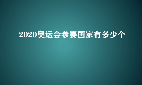2020奥运会参赛国家有多少个