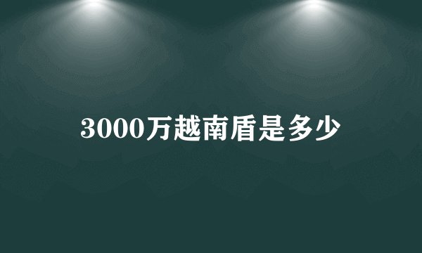 3000万越南盾是多少