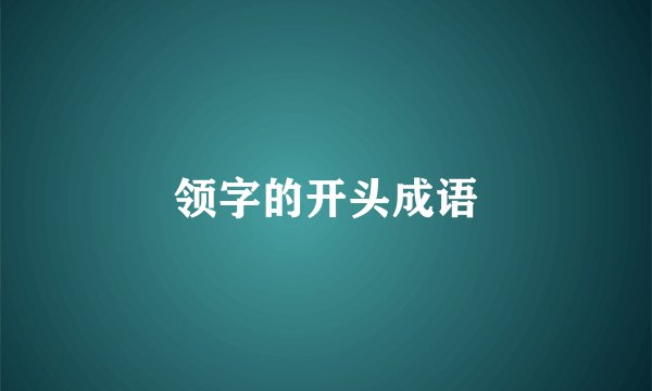 领字的开头成语